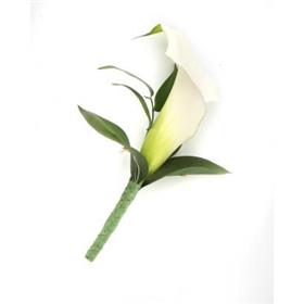 fwthumbCala Lily Button hole Wedding Flowers Sheffield-600x400.jpg
